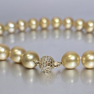 Golden South Sea Pearl Necklace