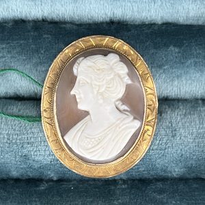 Brown Cameo Pin